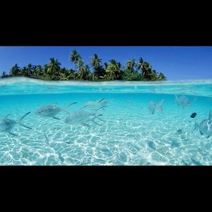 Meet your Posher, Morgan